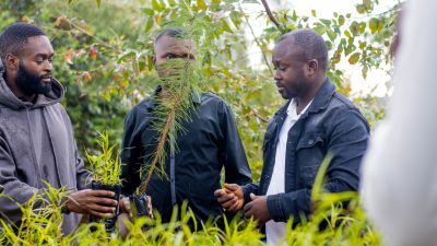 COMMUS remet 1000 plantules au gouvernement provincial du Lualaba dans le cadre de la conservation de la nature